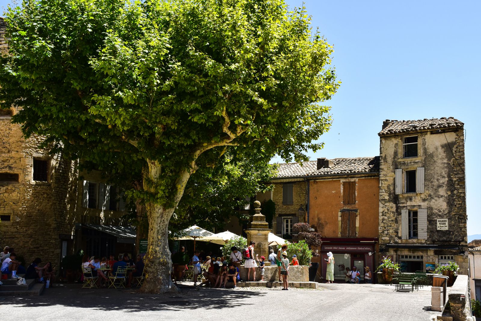 Terrasse de café sous un grand platane